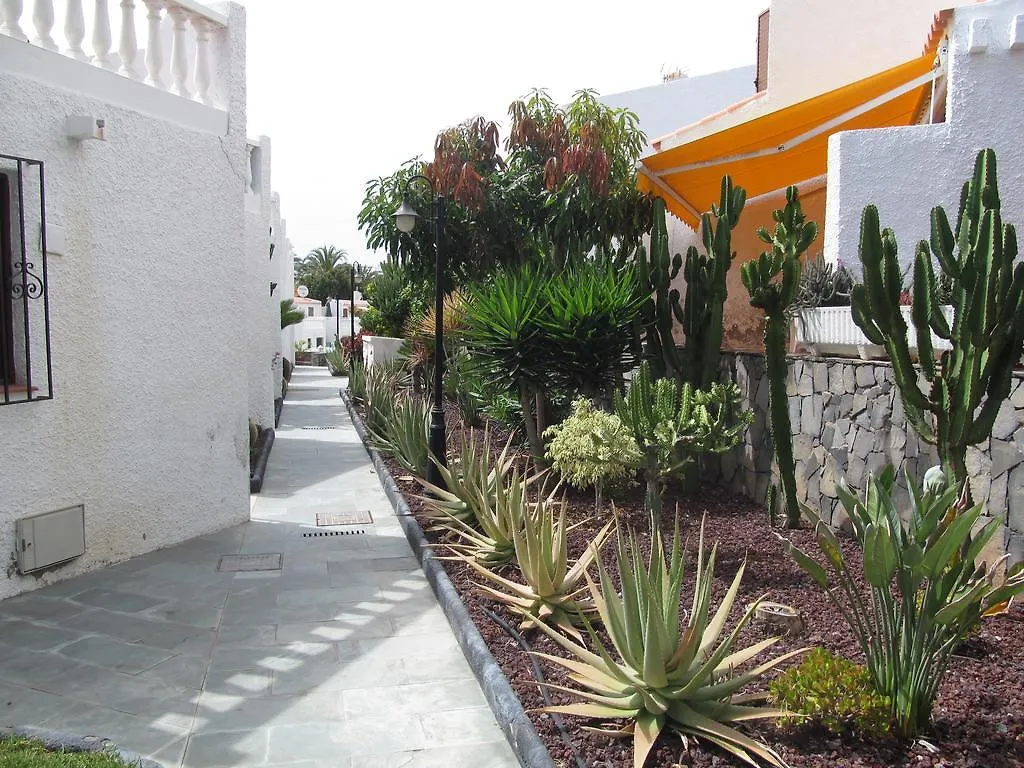 Apartment Virginia Playa de las Americas  0*, Playa de las Americas (Tenerife) Hiszpania